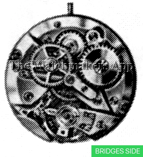 ETA 984