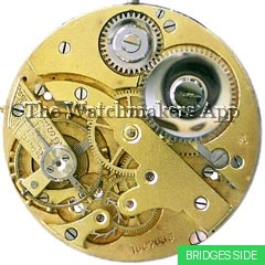 Eterna 35L