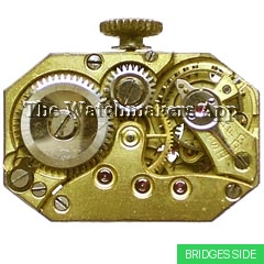 Eterna 370