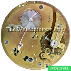Eterna 51