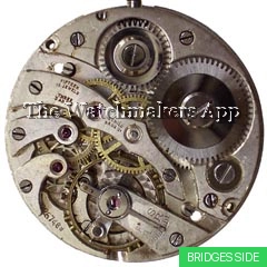 Eterna 96