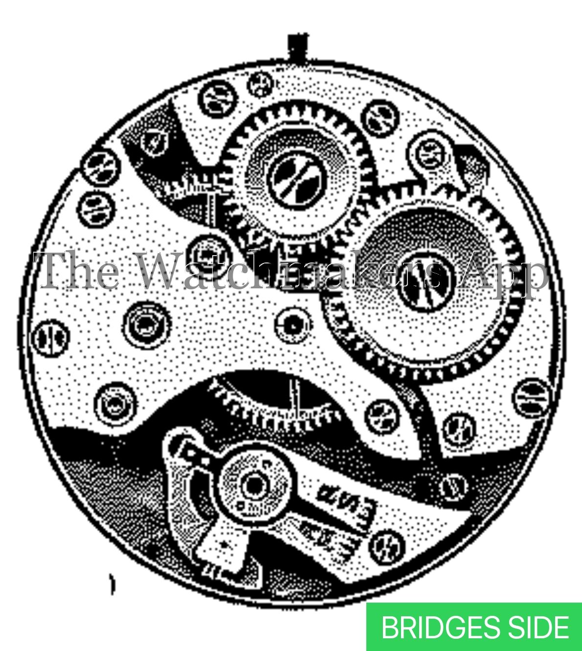 Felsa 108 Wasa