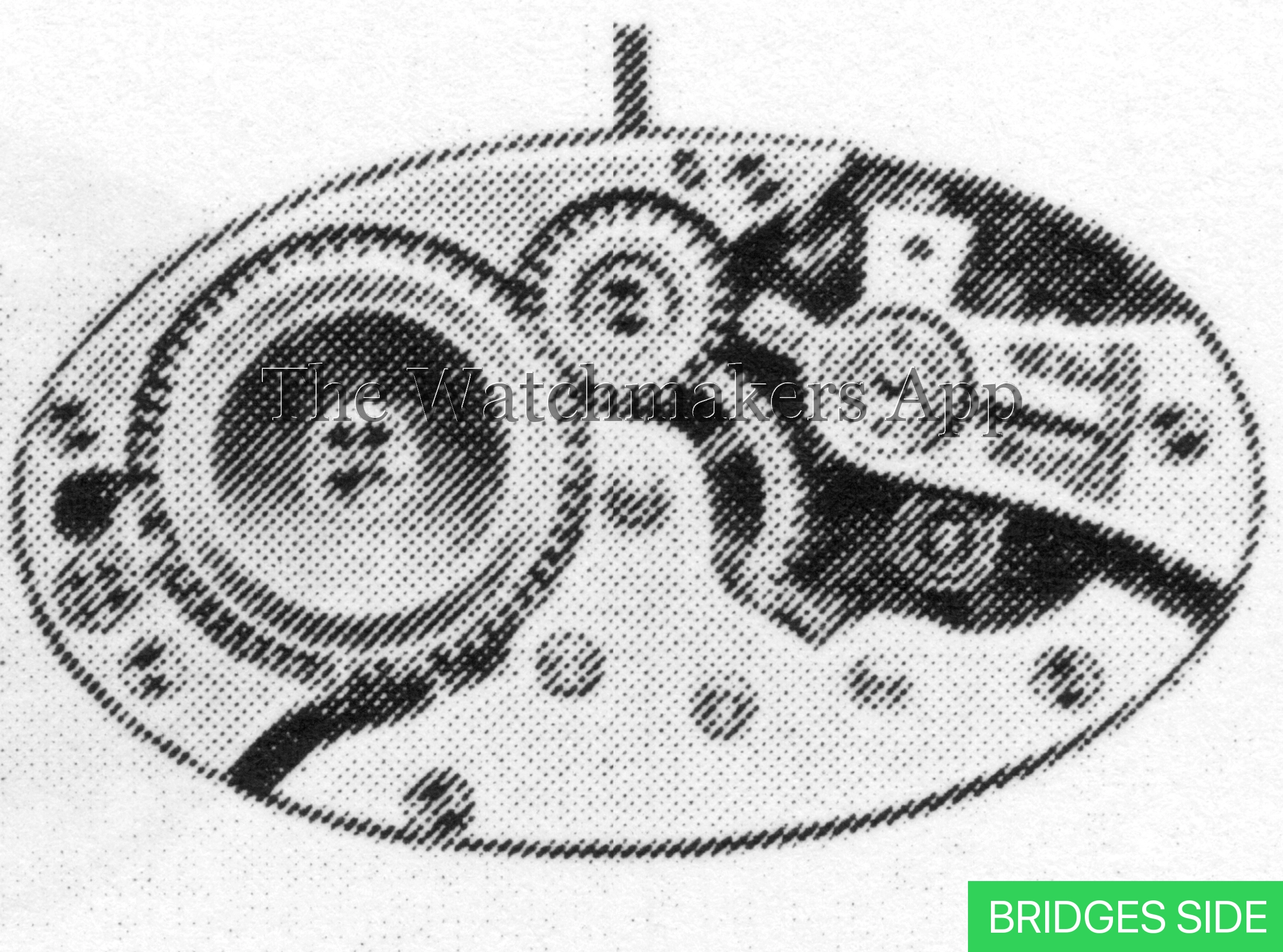 Felsa 132