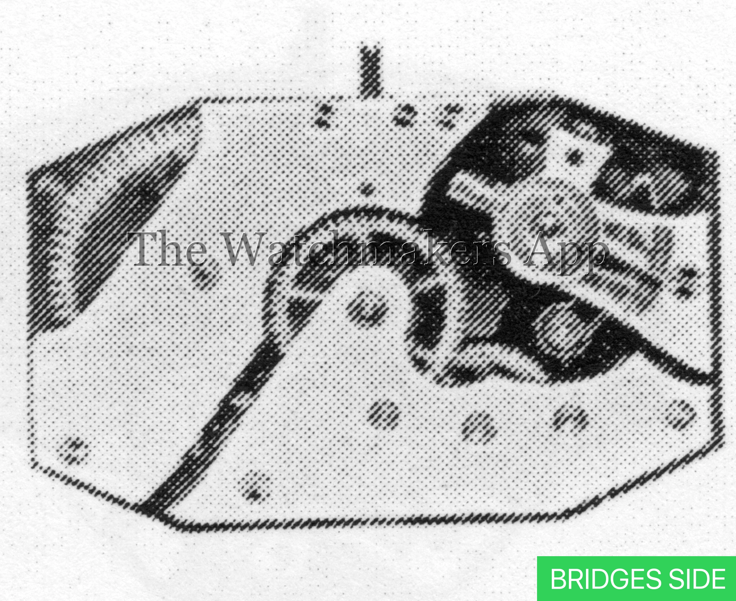 Felsa 179