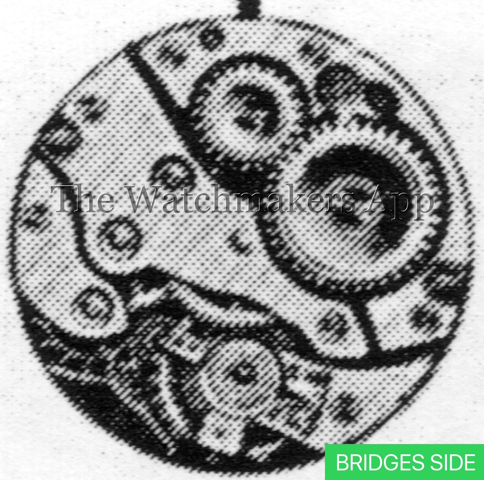 Felsa 197