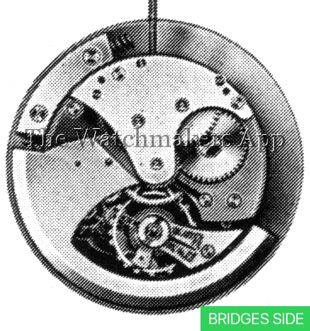 Felsa 282