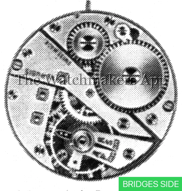 Felsa 313