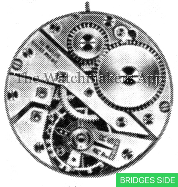 Felsa 316