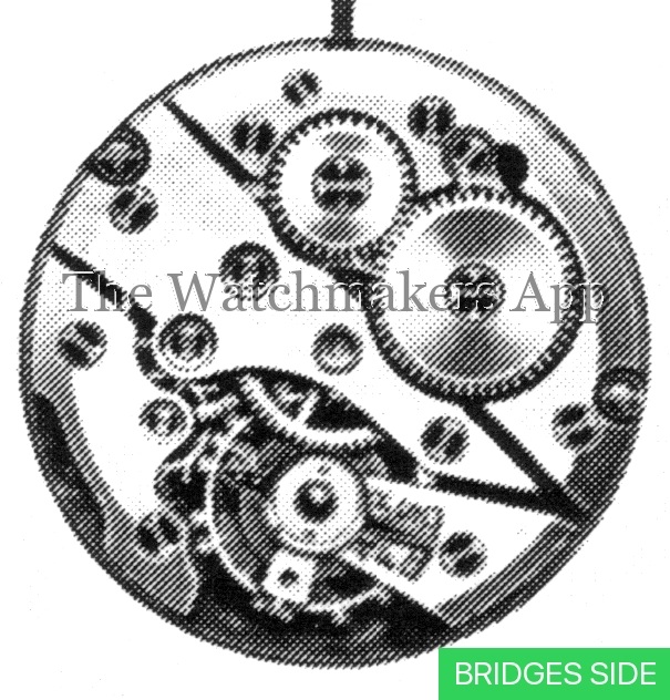 Felsa 337