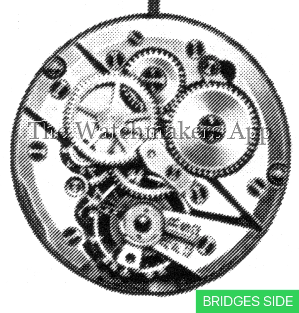 Felsa 367