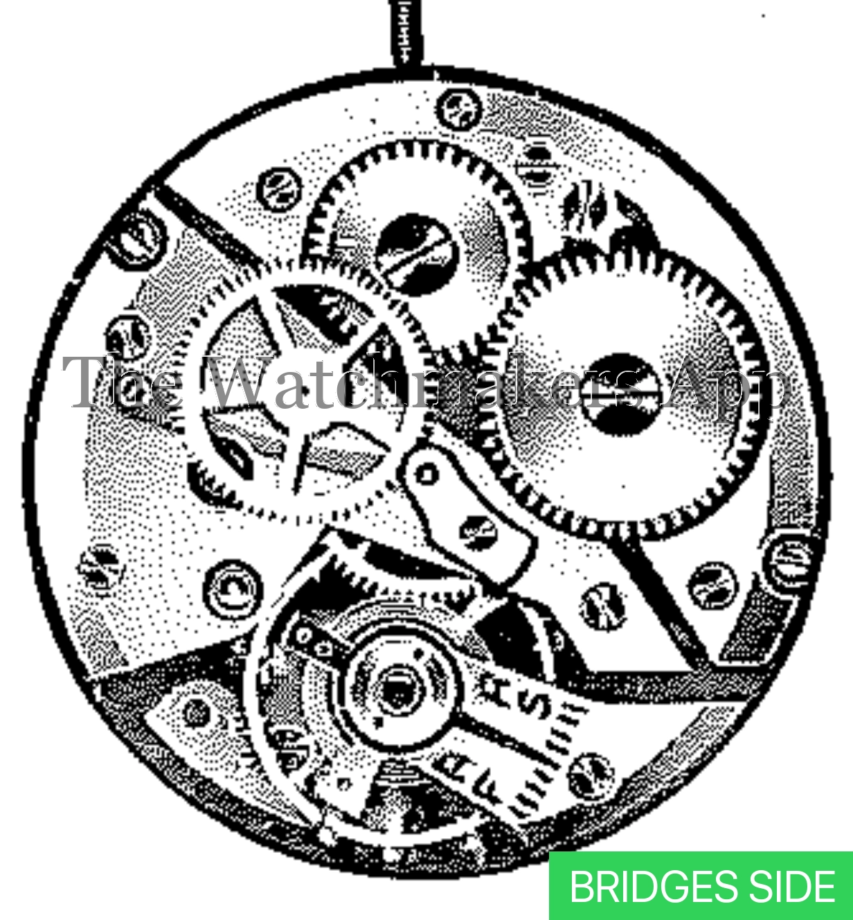 Felsa 395