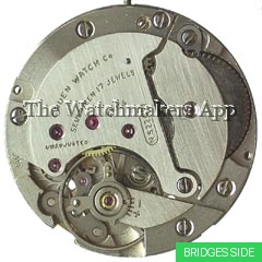 Felsa 4018