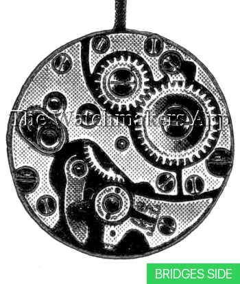 Felsa 81