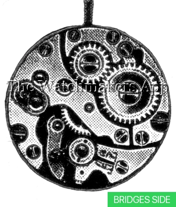 Felsa 82