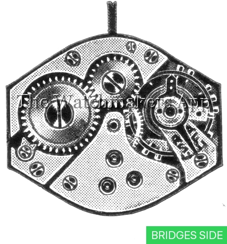 FHF 123