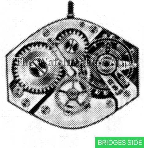 FHF 123-1