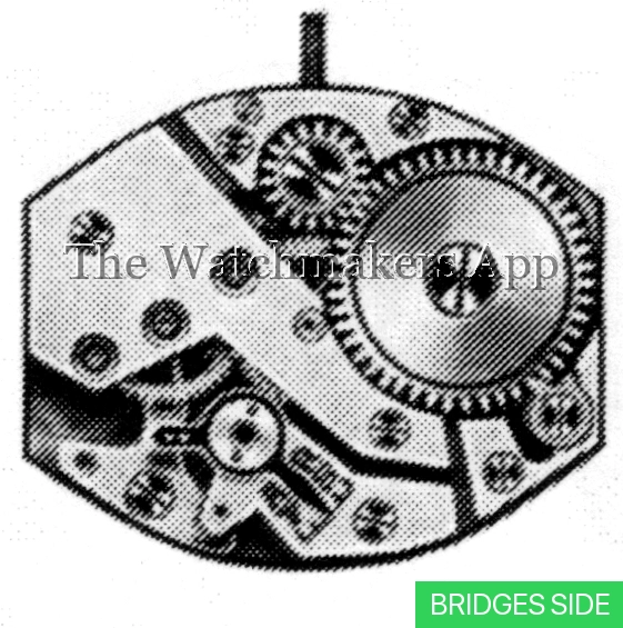 FHF 155