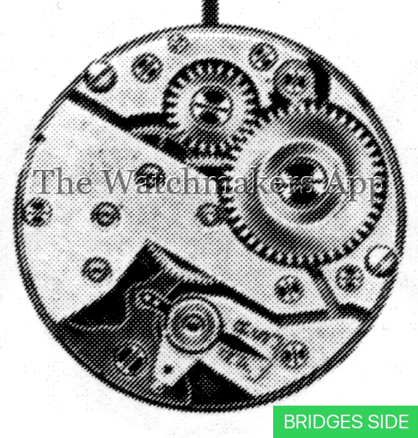 FHF 175