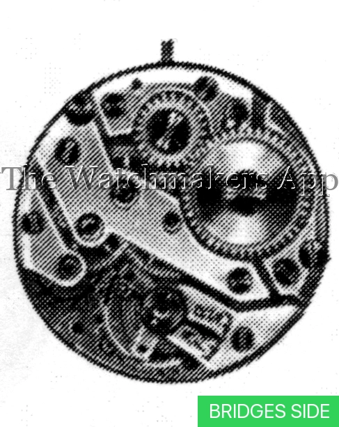 FHF 197