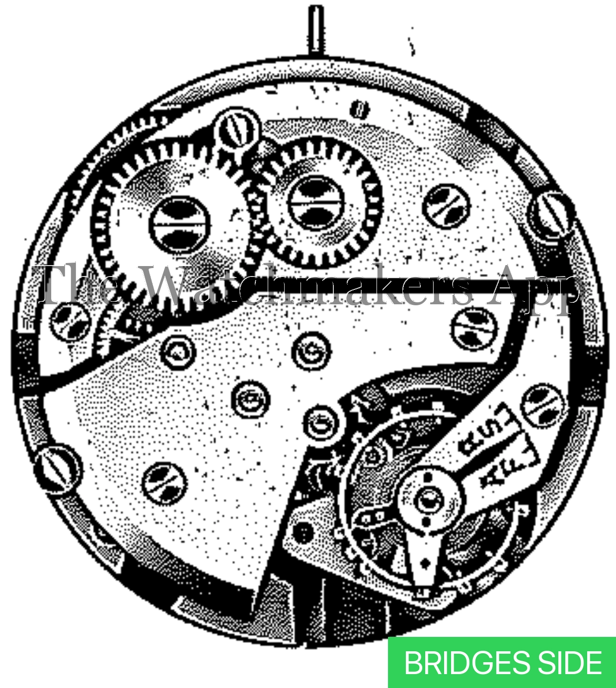 FHF 200