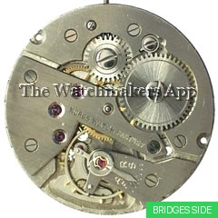 FHF 261