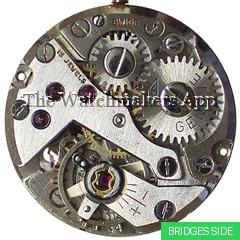 FHF 34