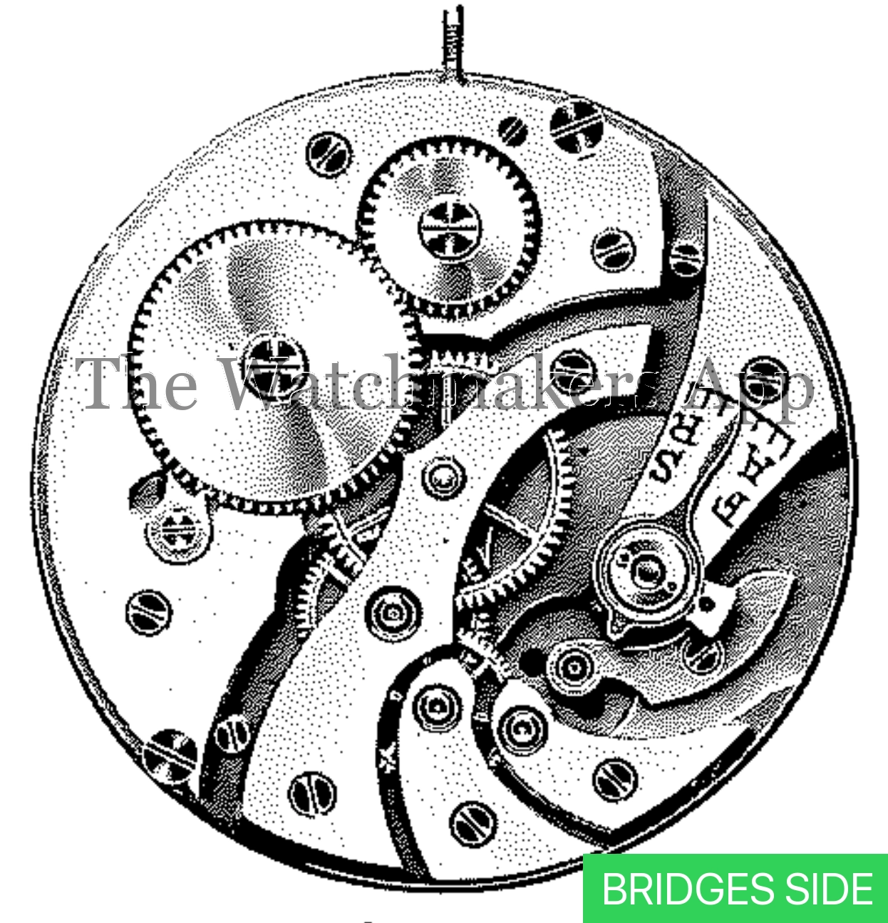 FHF 37, 17''', open face