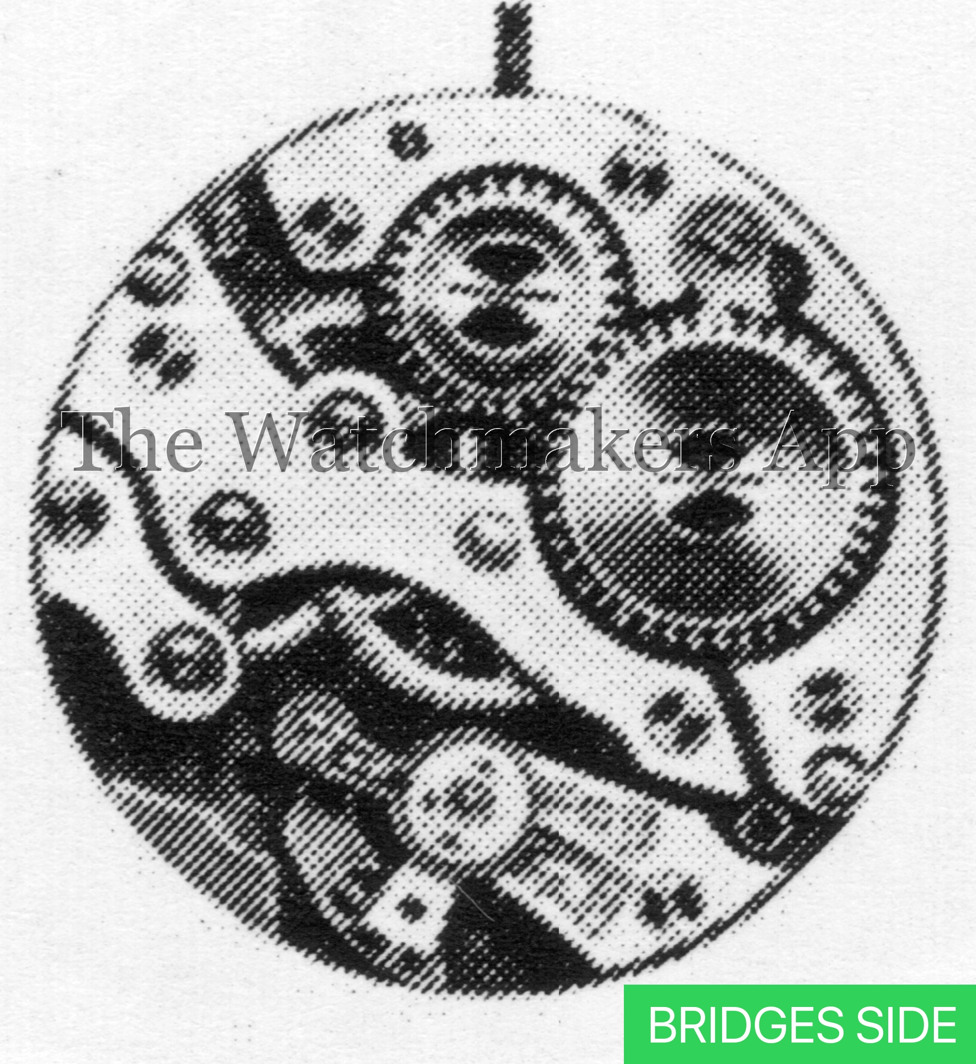 FHF 46, 8.75''', H3.2