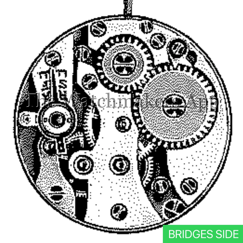 FHF 7