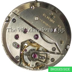 Glycine 46