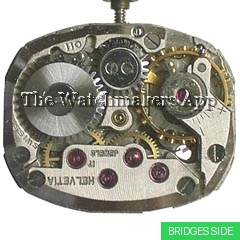 Helvetia 111