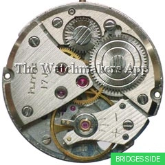 HMT 0231