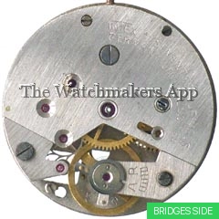 Intex 1055