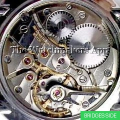 IWC 401