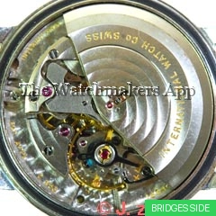 IWC 8531