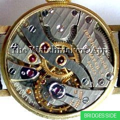 IWC 91