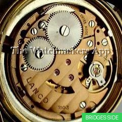 Langendorf 1103