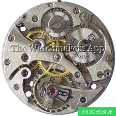 Minerva 12, hunter
