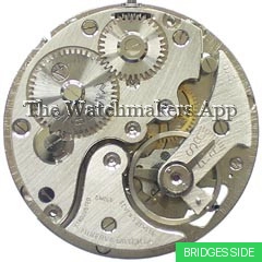 Minerva 16