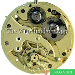 Minerva 3, hunter