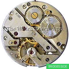 Minerva 50