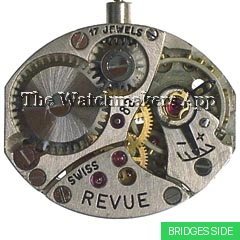 MSR B1