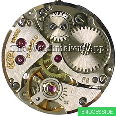 MSR D7