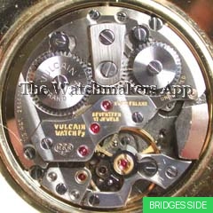 MSR S2, Cricket