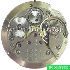 MSR T43