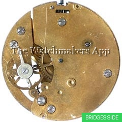 Müller-Schlenker 1, new