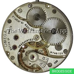 Omega 100