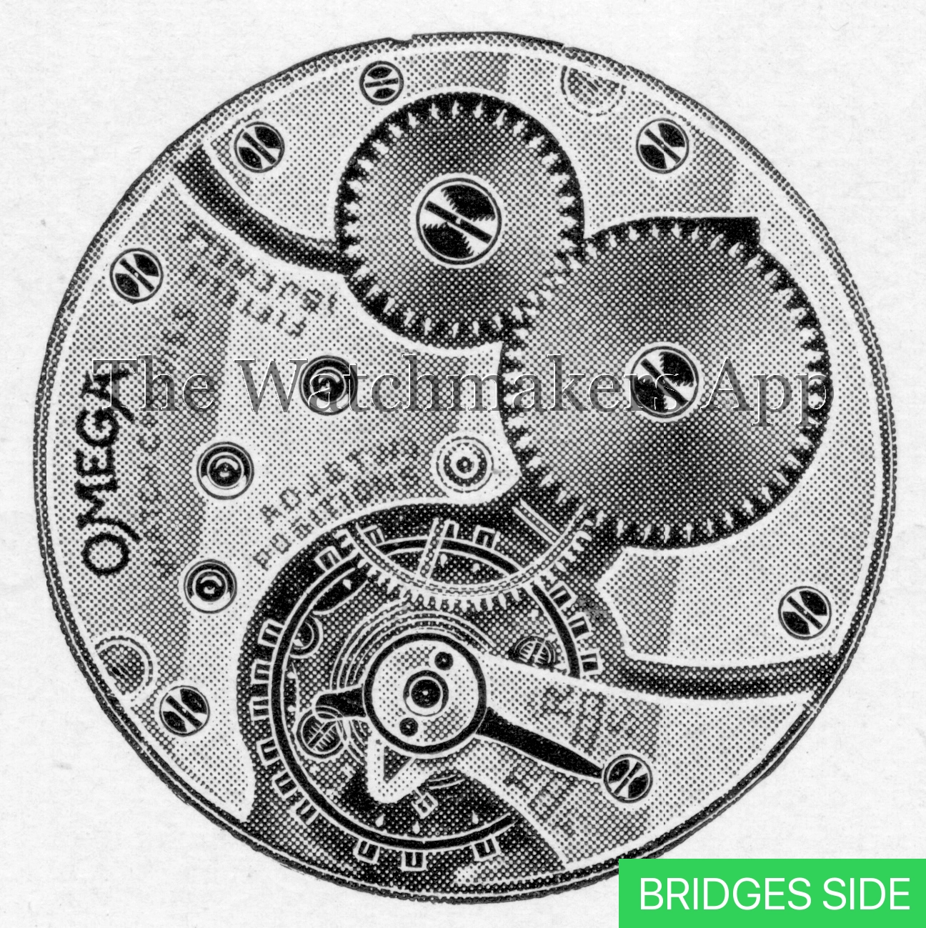 Omega 26.5
