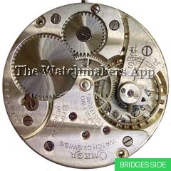 Omega 40.6L T1