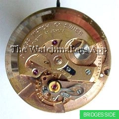 Omega 502